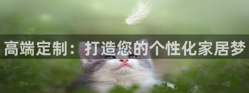 先锋娱乐管理集团
