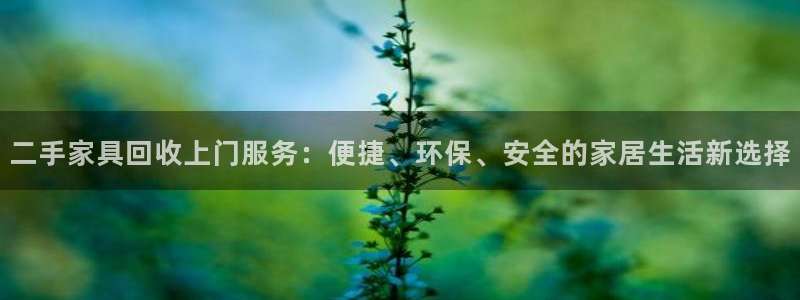 先锋娱乐手机