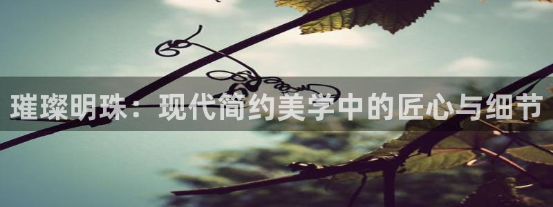 先锋娱乐理财logo