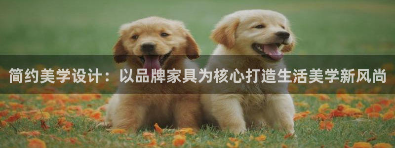 先锋娱乐公司
