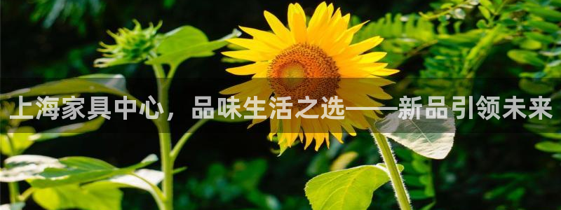 先锋娱乐是不是骗子