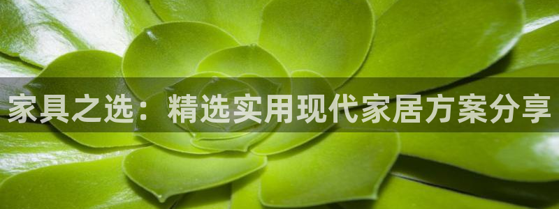 先锋娱乐入口
