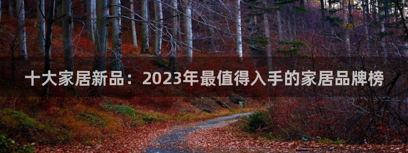 先锋娱乐简介图片