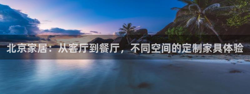 先锋娱乐系统