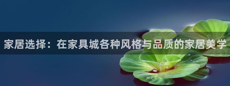 先锋娱乐游戏软件