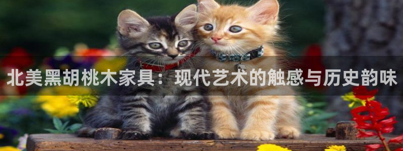 先锋娱乐平台