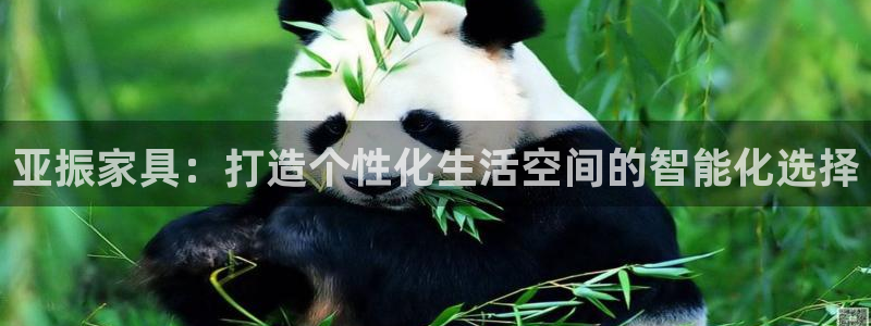 先锋娱乐扑克