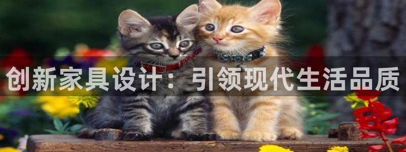 先锋娱乐场所