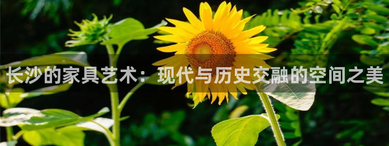 先锋娱乐社