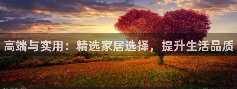 先锋娱乐科技