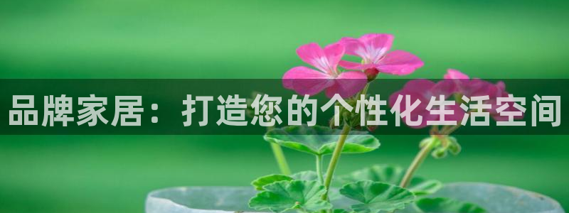 先锋娱乐管理集团怎么样