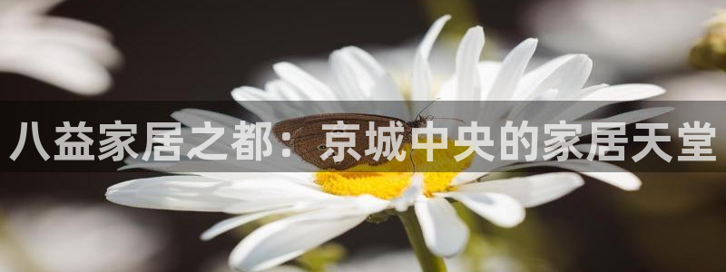 先锋娱乐大厅首页