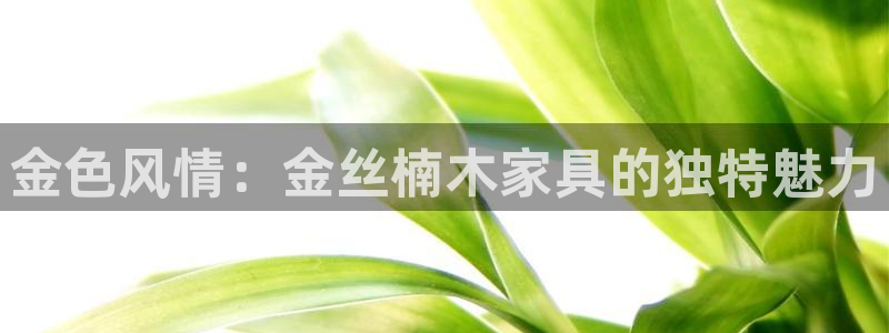 贵州先锋娱乐