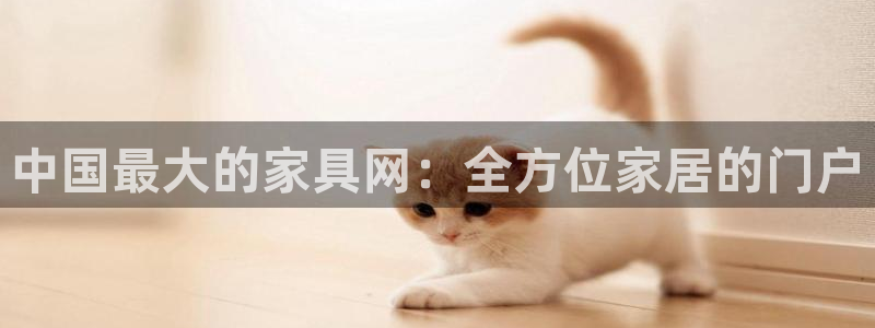 先锋互动娱乐