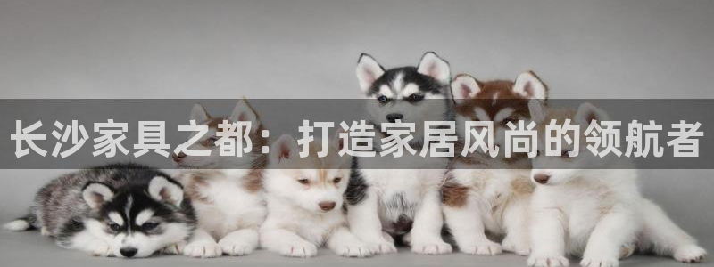亚洲先锋娱乐行情