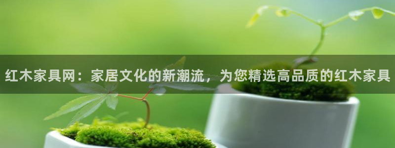 先锋娱乐科技