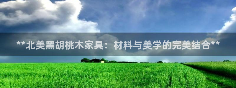 时代先锋娱乐