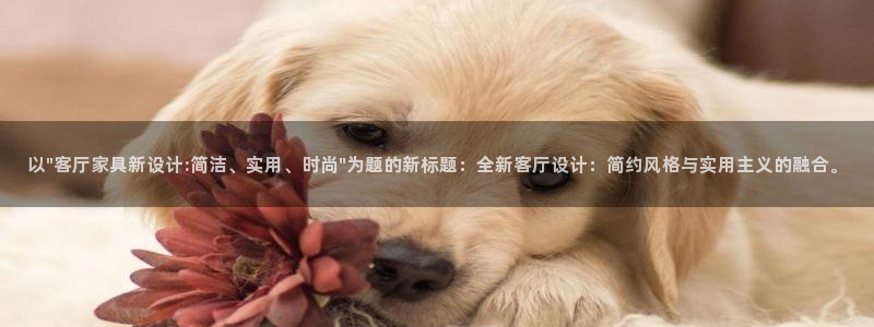先锋娱乐集团