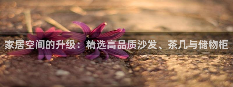 先锋娱乐情报