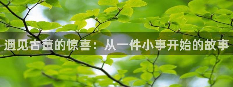 先锋岛娱乐