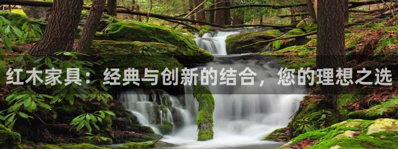 先锋娱乐集团公司