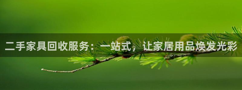 先锋娱乐科技