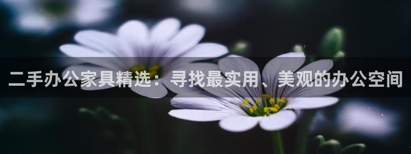 先锋 娱乐