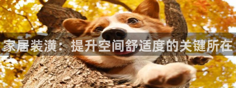 先锋娱乐官