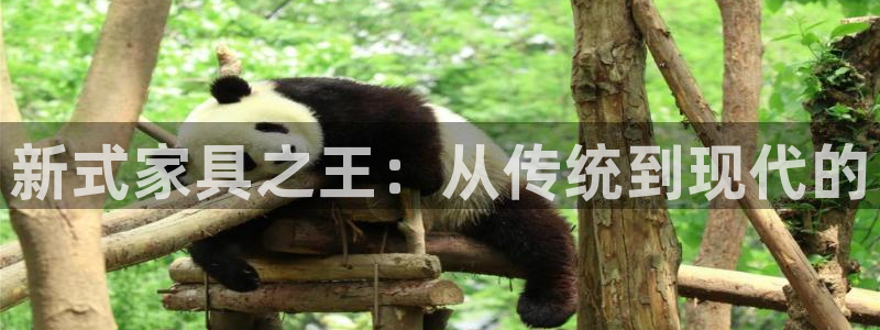 先锋娱乐邀请码多少