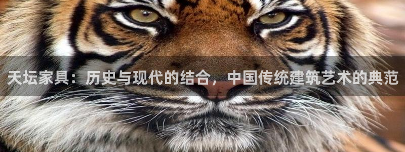 先锋娱乐游戏上分地址