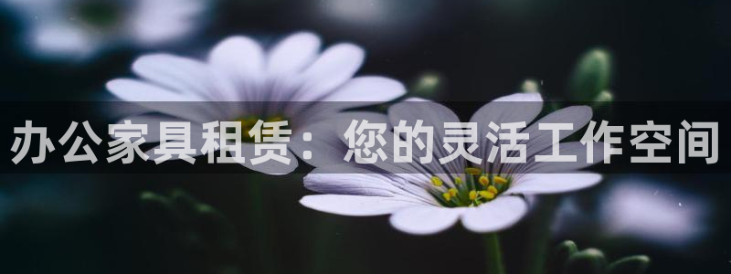 先锋娱乐网67xf