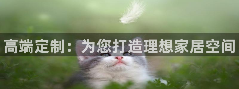 先锋娱乐链接