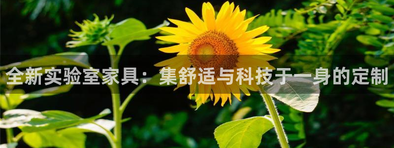 先锋娱乐网67xf