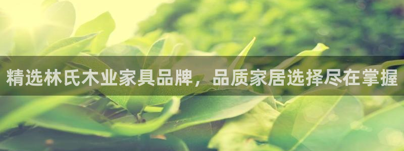 先锋娱乐系统