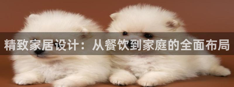 时代先锋娱乐