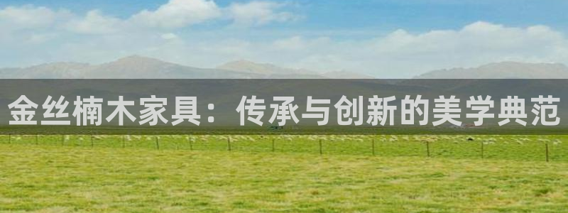 先锋电玩娱乐