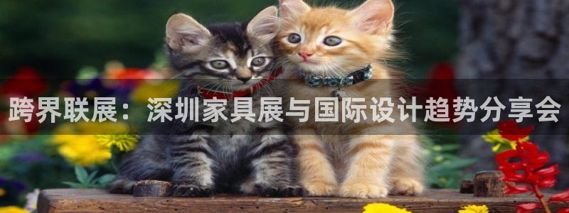 先锋娱乐游戏软件