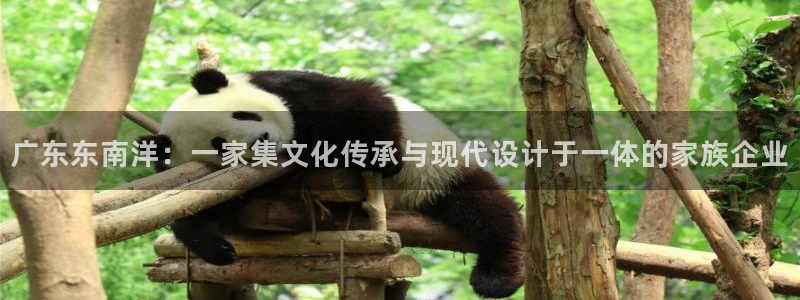 先锋娱乐股票