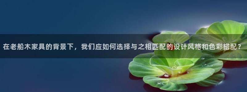 先锋娱乐简介图片