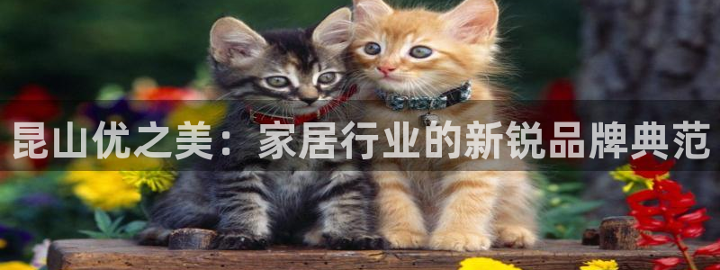 先锋娱乐大厅首页