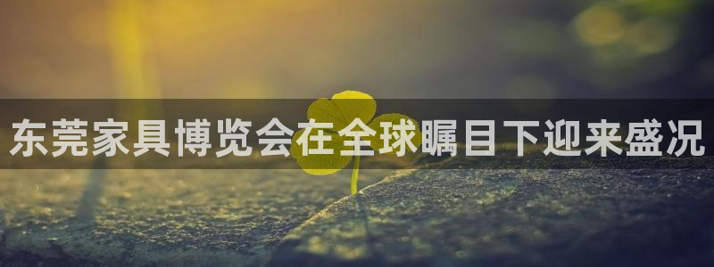 先锋娱乐理财logo