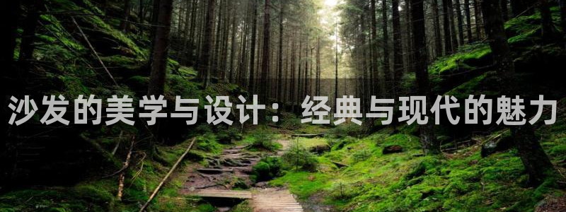 娱乐急先锋全集下载