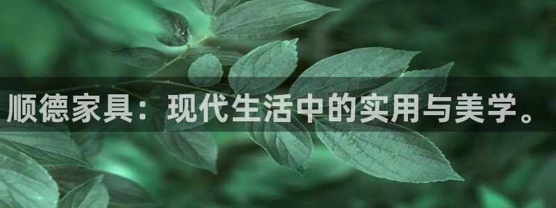 先锋娱乐简介图片