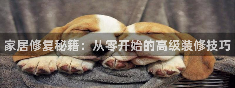 先锋娱乐游戏软件