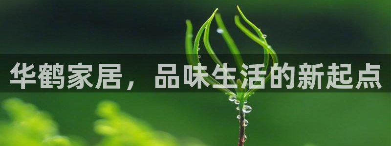 先锋电子车载娱乐系统