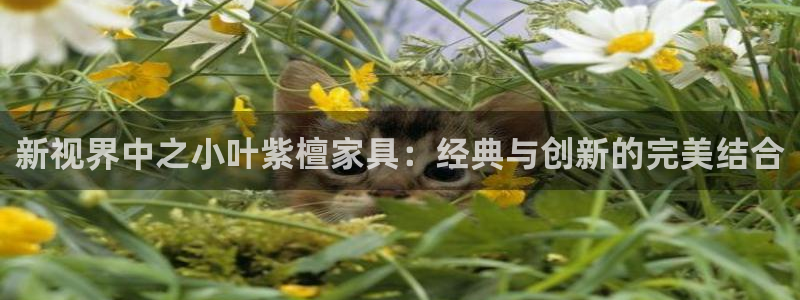 先锋娱乐管理集团